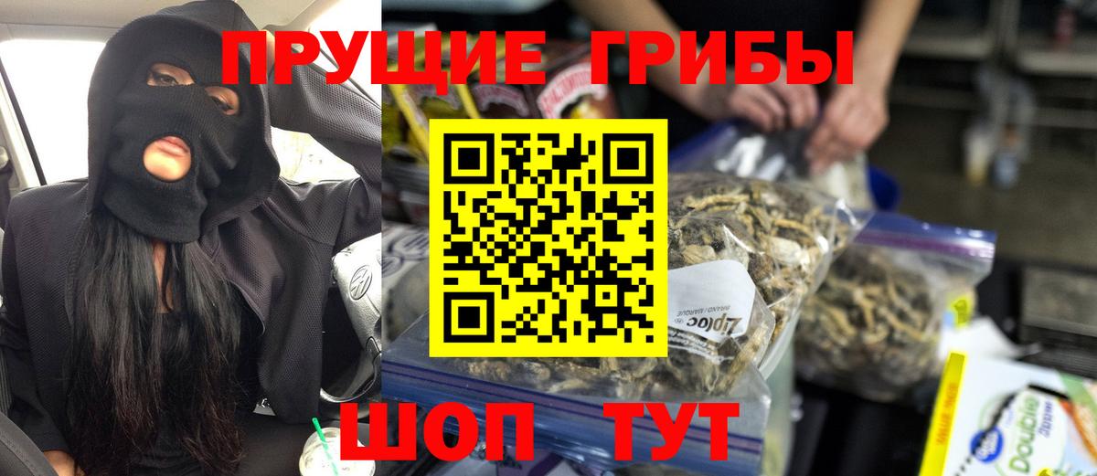Псилоцибиновые грибы мицелий Жигулёвск